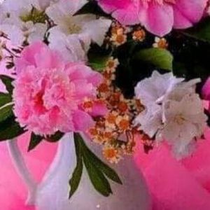 Meet your Posher, Rosalinda